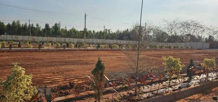 1200 sqft Plots & Land for Sale in Nelamangala
