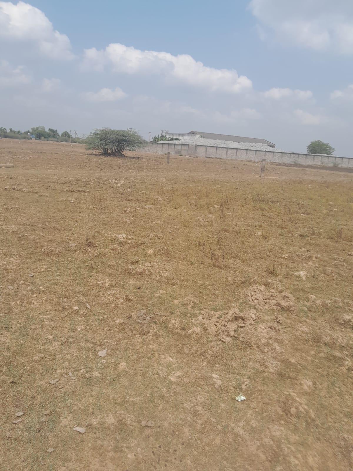 2400 sqft Plots & Land for Resale in Serapanacheri