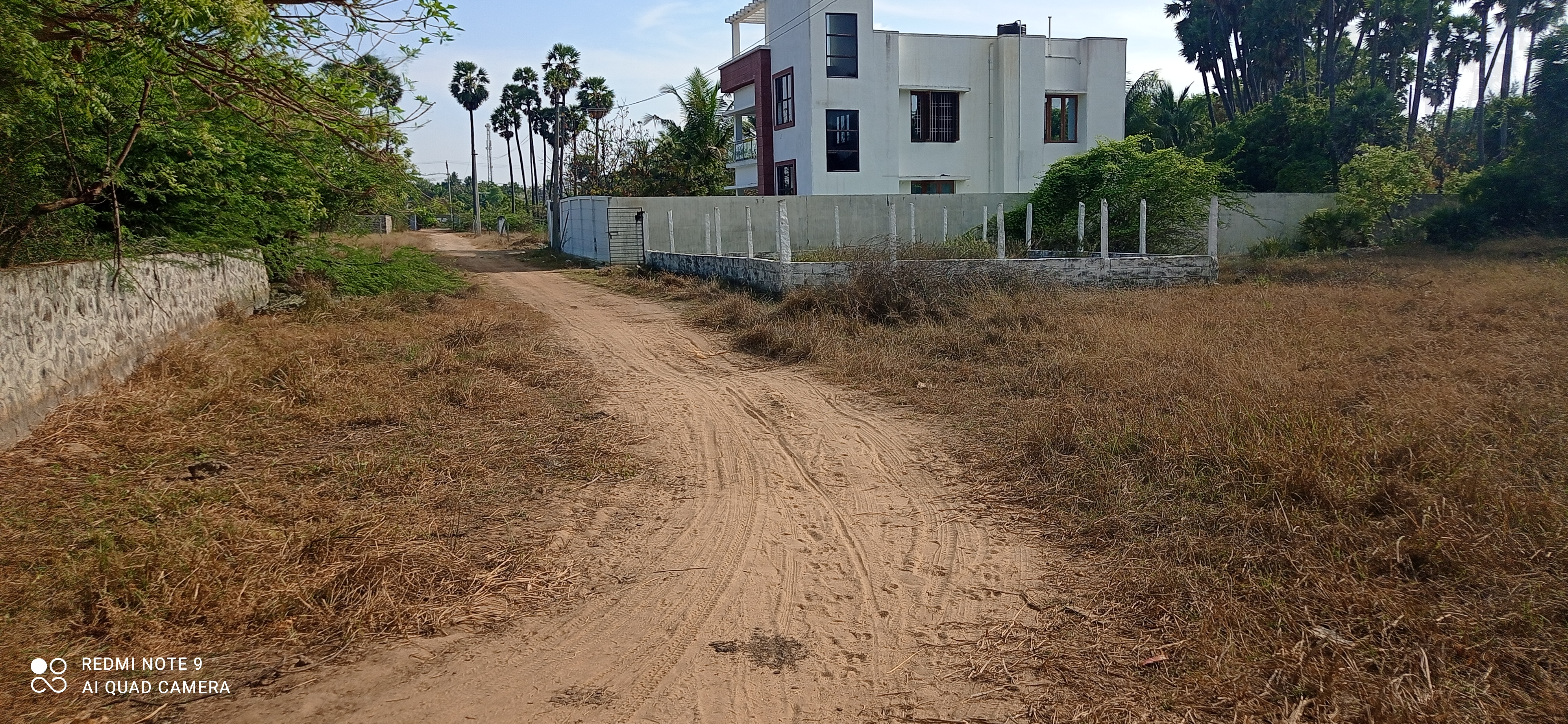 5000 sqft Plots & Land for Resale in Pattipulam