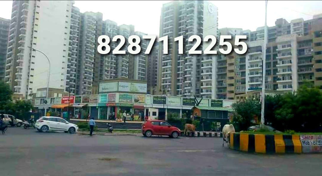 50 sqft Plots & Land for Sale in Sector 62A