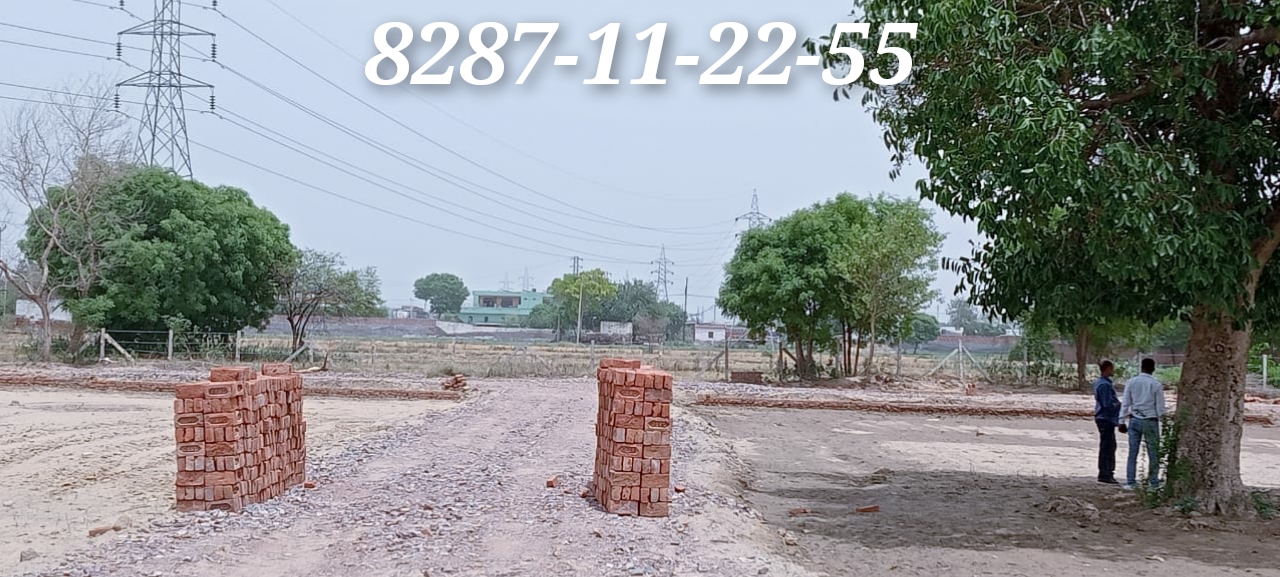 1350 sqft Plots & Land for Sale in Sector 1