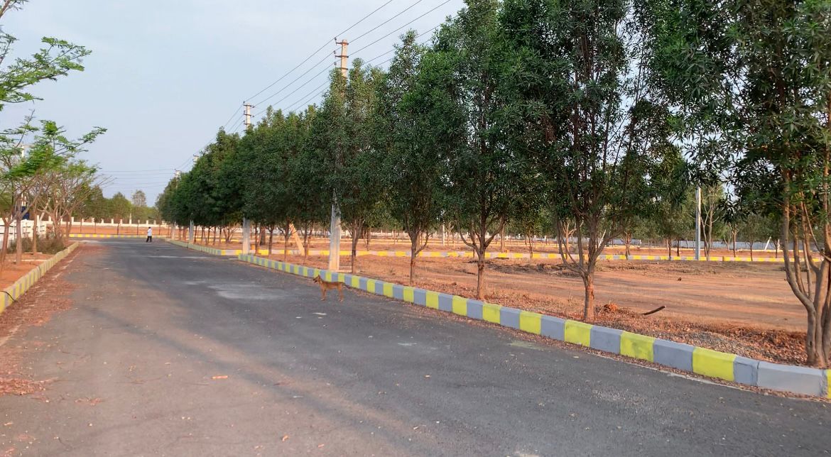 200 Sq Yards Plots & Land for Sale in Adibatla