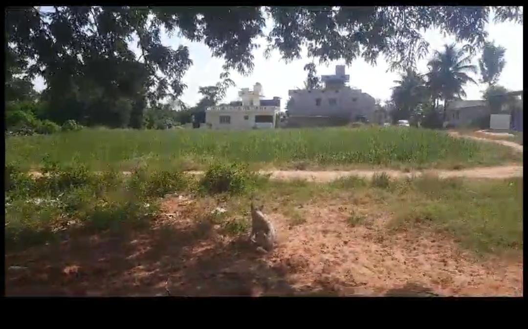 1 Acres Agricultural Land/Farm Land for Sale in Nelamangala