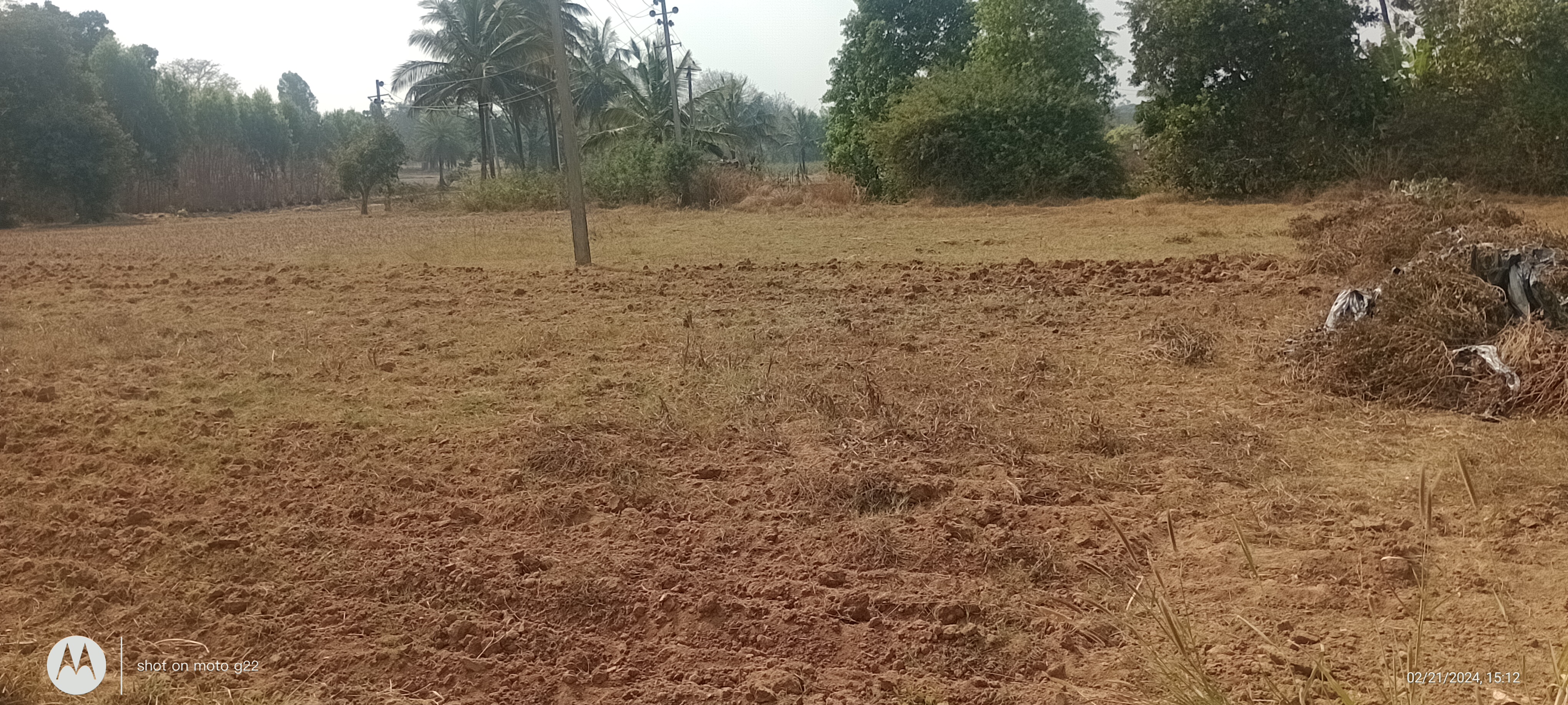 1 Acres Agricultural Land/Farm Land for Sale in Doddaballapur