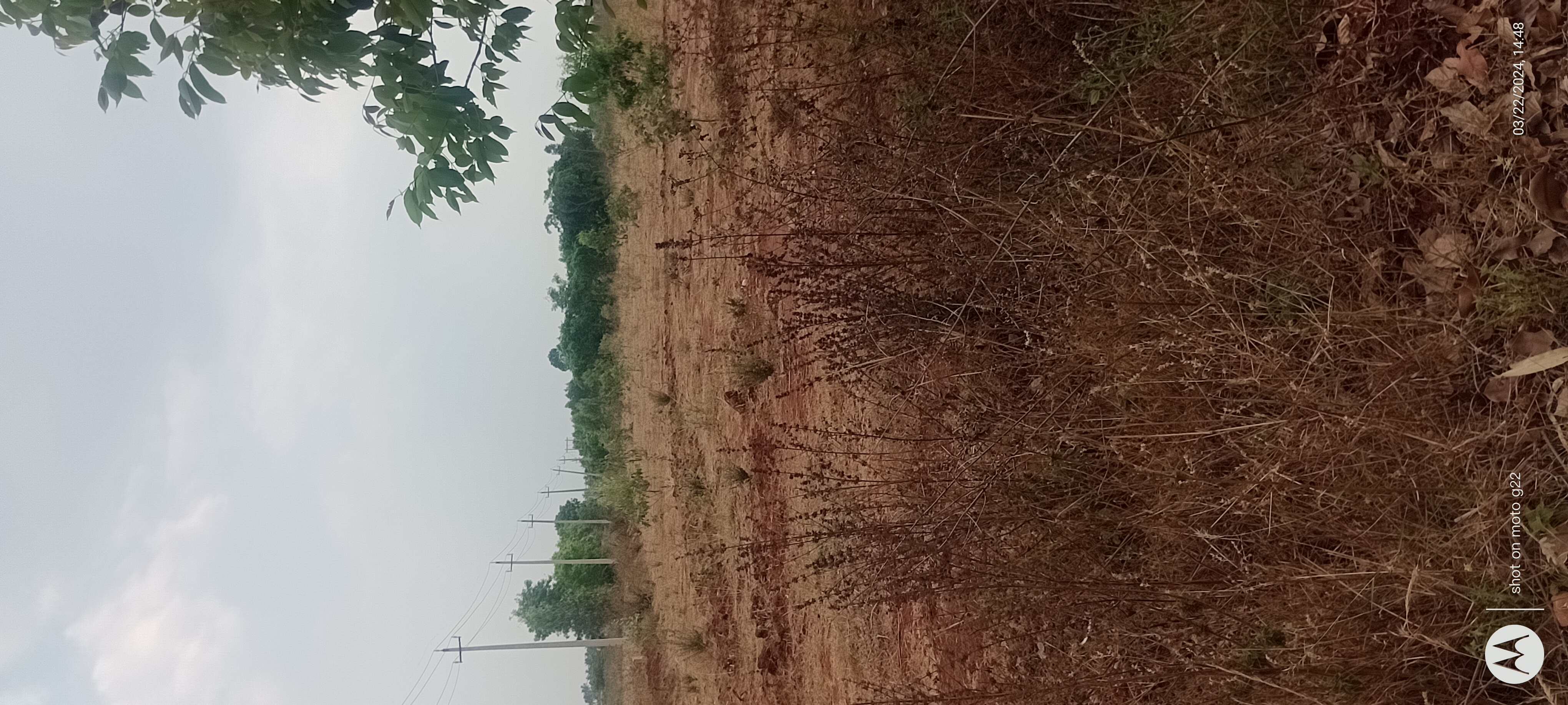 1 Acres Agricultural Land/Farm Land for Sale in Doddaballapur