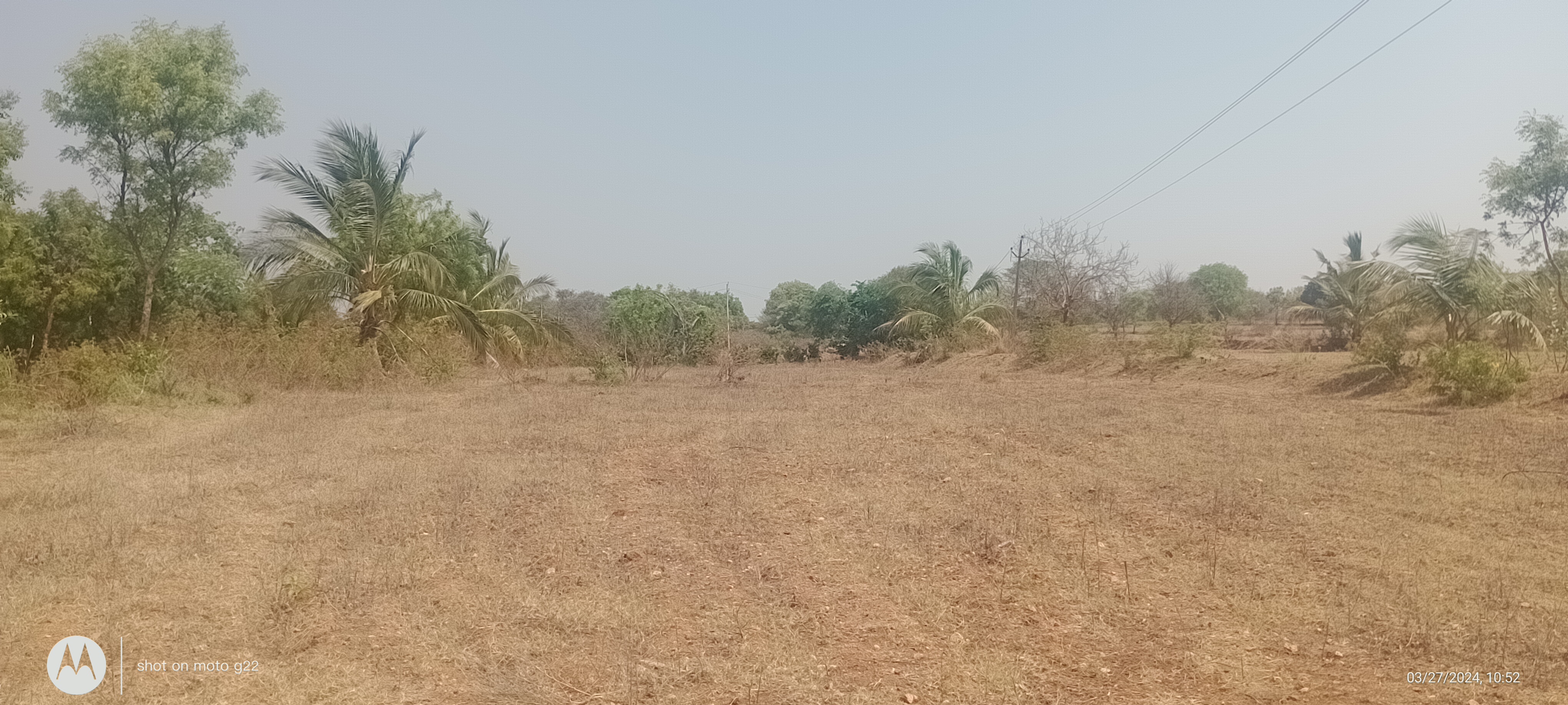 3 Acres Agricultural Land/Farm Land for Sale in Doddaballapur