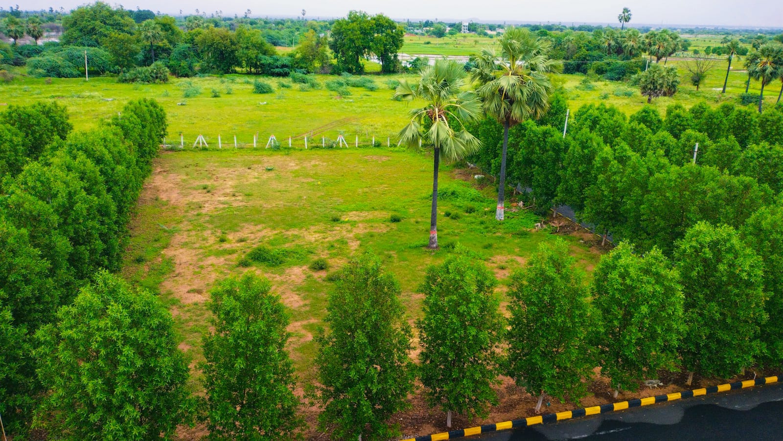 242 Sq Yards Agricultural Land/Farm Land for Sale in Yadagirigutta