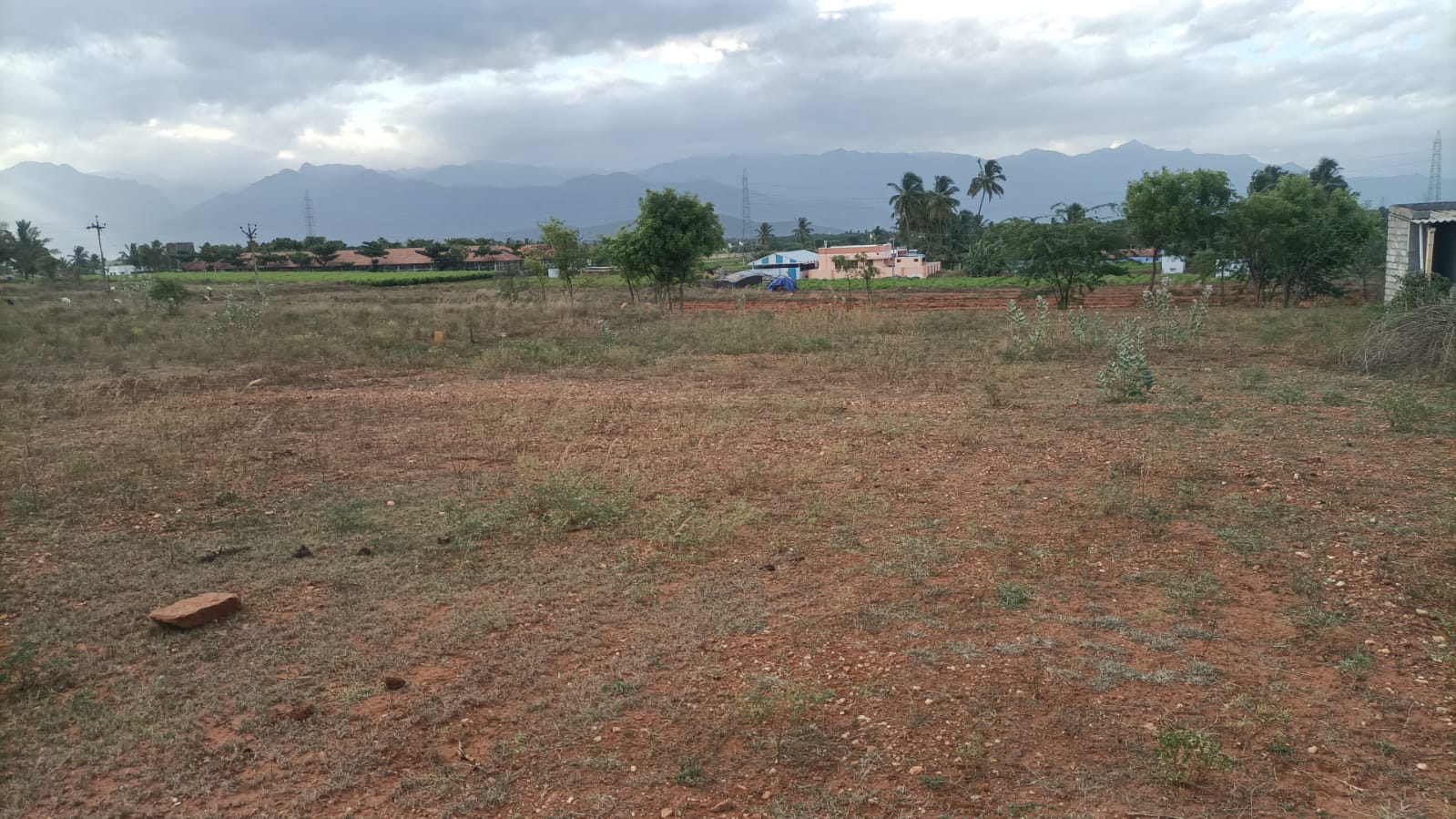21780 sqft Agricultural Land/Farm Land for Sale in Coimbatore