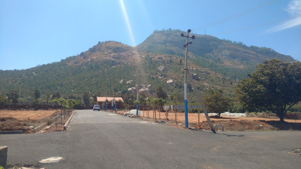sale in Hoskote