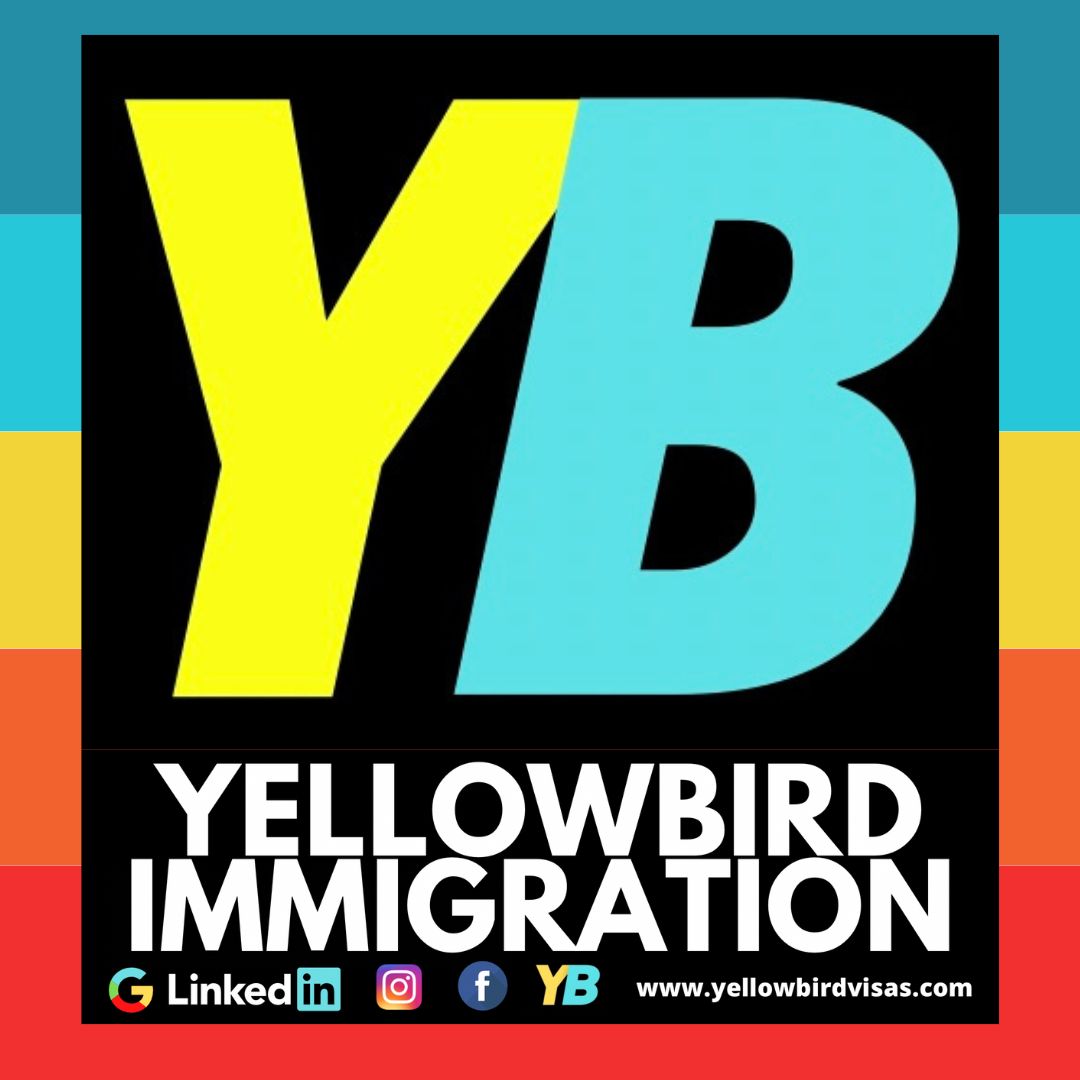 Logo of Yellowbird Immigration | Best Immigration Consultants in Delhi