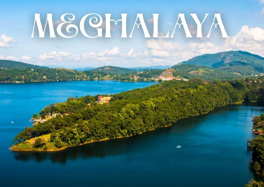 Clara Tours & Travels in Laban, Shillong - 