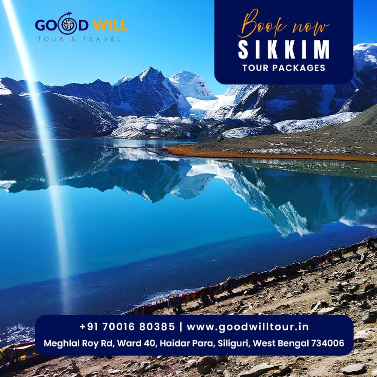 Goodwill Tour and Travel in Haiderpara, Siliguri - 