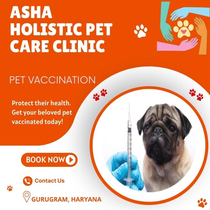 Asha Holistic Pet Care Clinic in sector 49 | Veterinarian Service