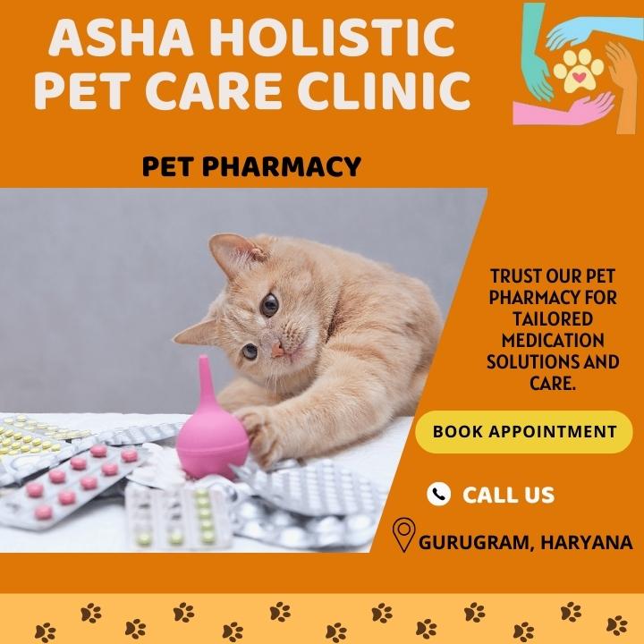 Asha Holistic Pet Care Clinic in sector 49 | Veterinarian Service