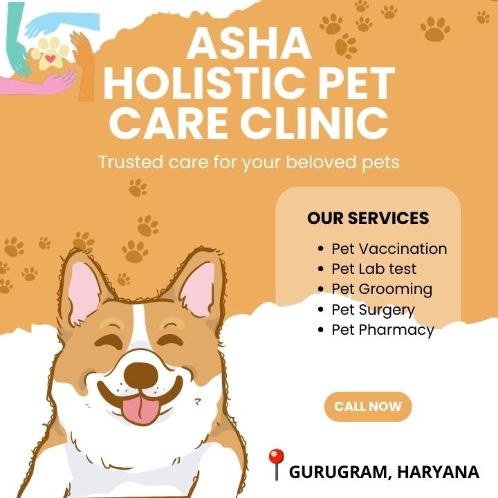 Asha Holistic Pet Care Clinic in sector 49 | Veterinarian Service