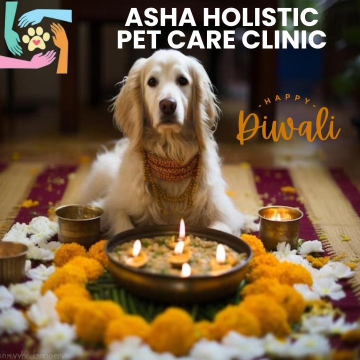 Asha Holistic Pet Care Clinic in sector 49 | Veterinarian Service