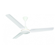 Top 10 Fan Dealers In Subhash Road Rohtak Ceiling Fans For Sale