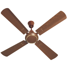 Havells Woodster 4 Blade Ceiling Fan Price Specification