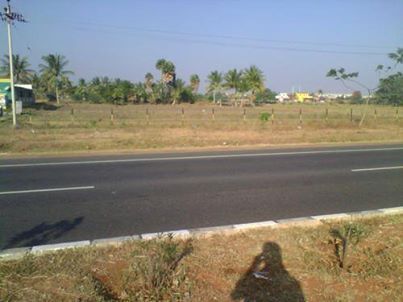 15000 sqft Plots & Land for Sale in Achampatti