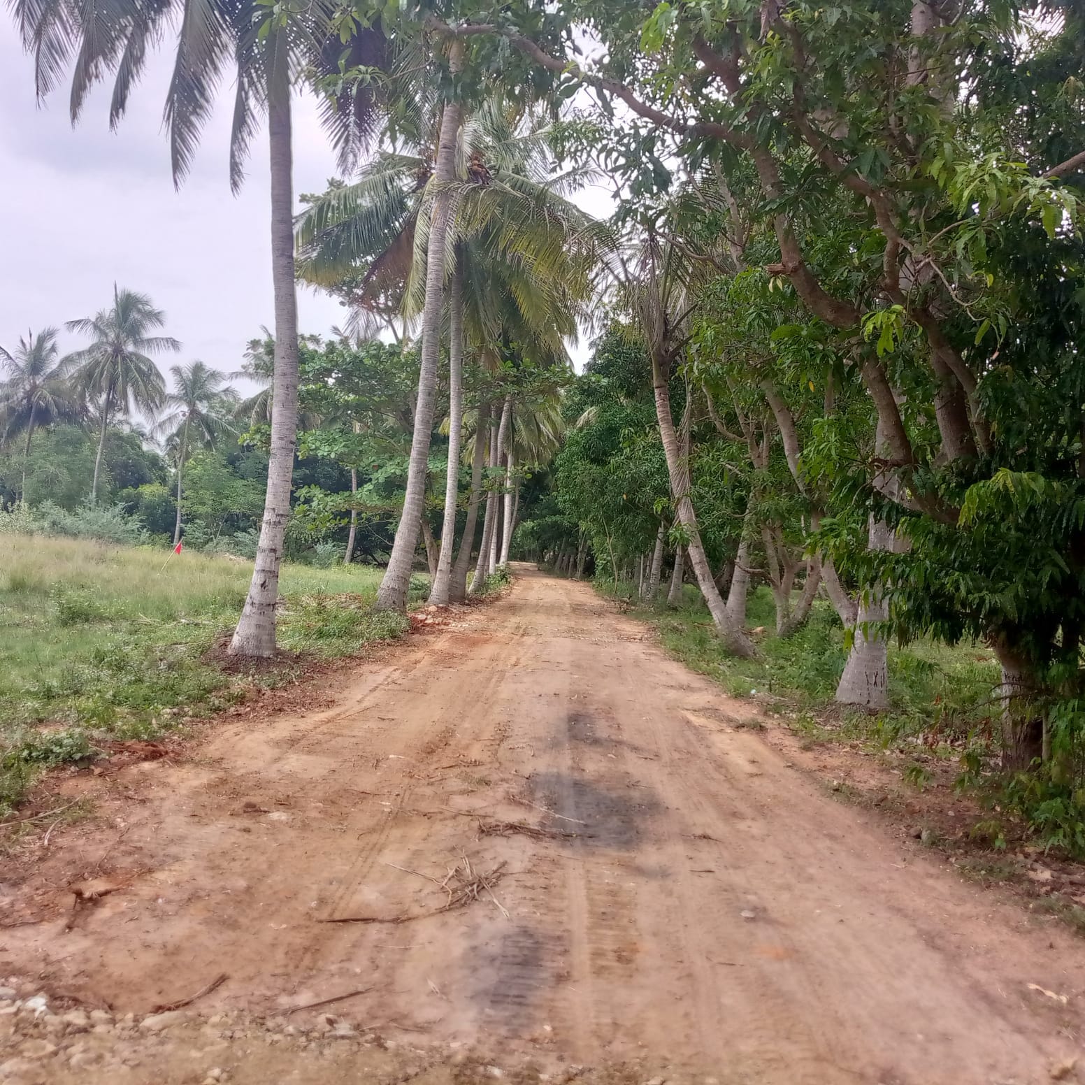 1200 sqft Plots & Land for Sale in Chengalpattu