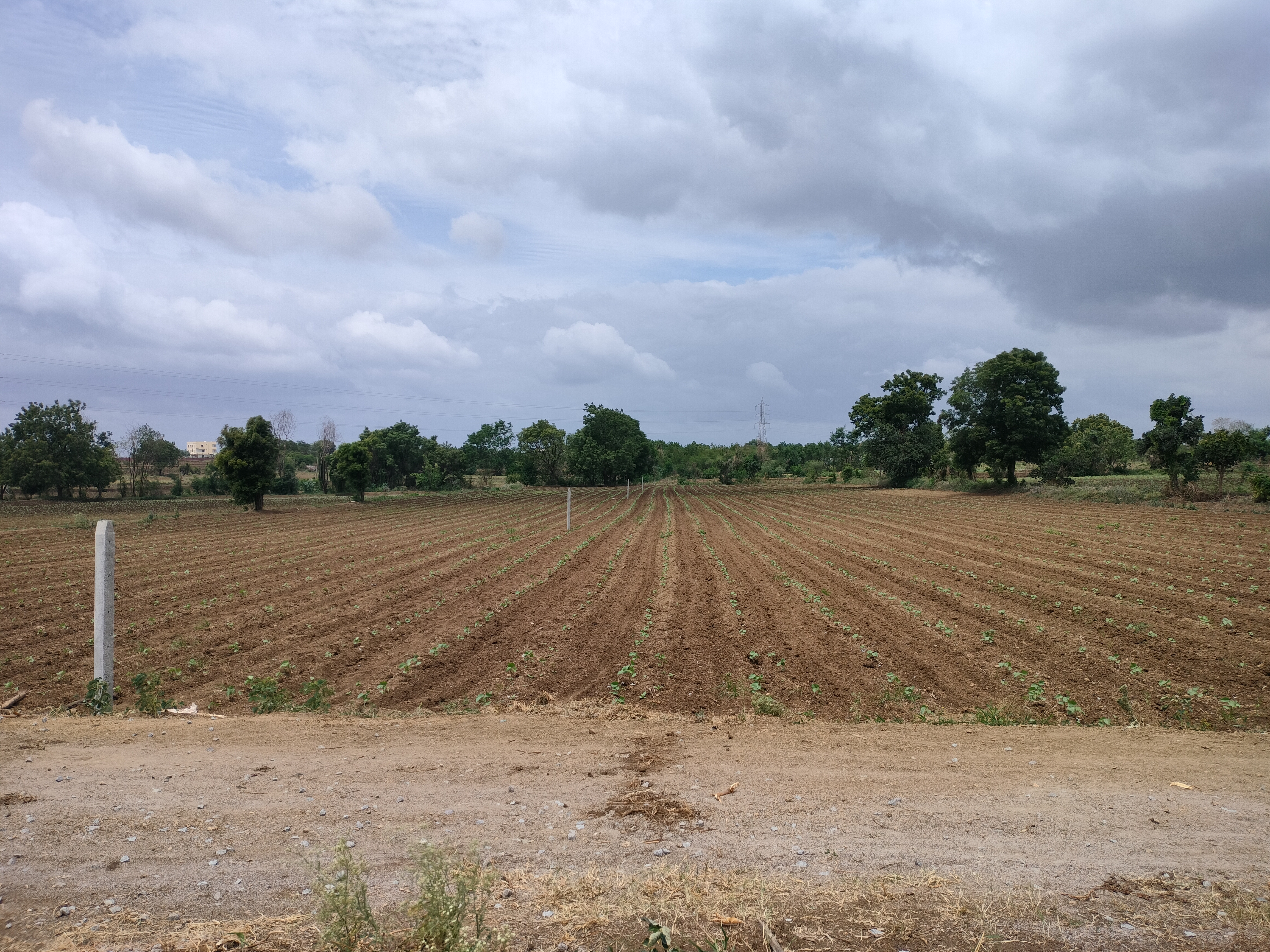 1 Acres Agricultural Land/Farm Land for Sale in Chevella