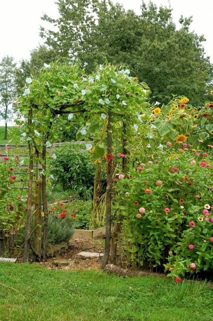6000 sqft Agricultural Land/Farm Land for Sale in Bolare