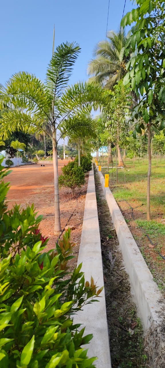 200 Sq Yards Plots & Land for Sale in Bhogapuram