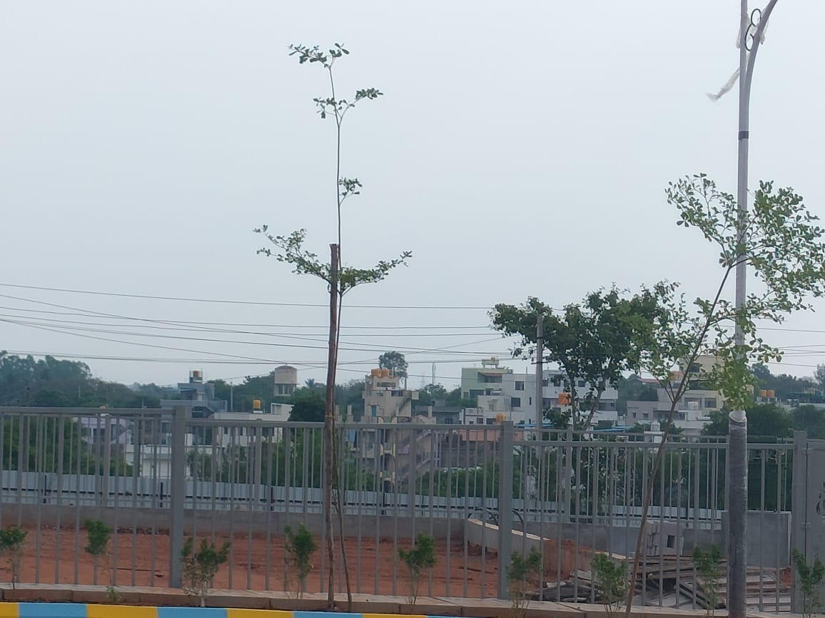 1500 sqft Plots & Land for Sale in Nelamangala Town