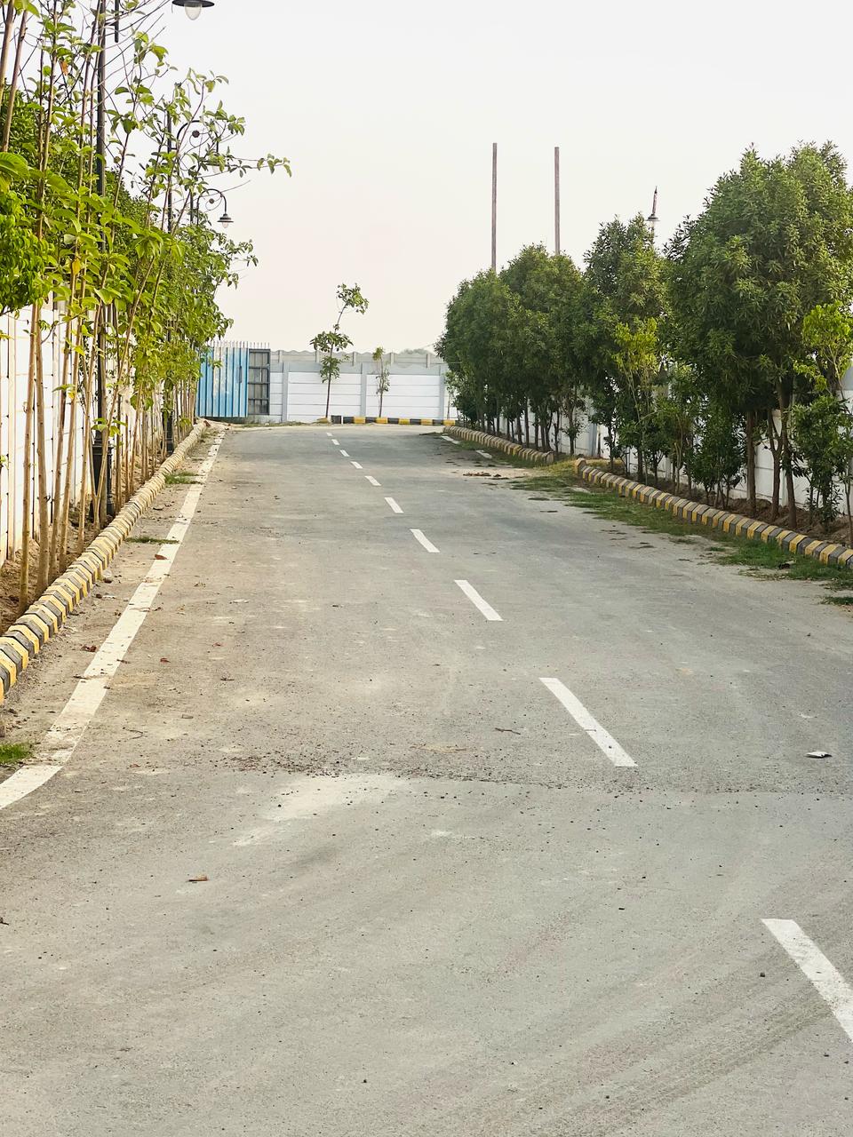 150 Sq Yards Plots & Land for Sale in Ahamedpur Chauroli