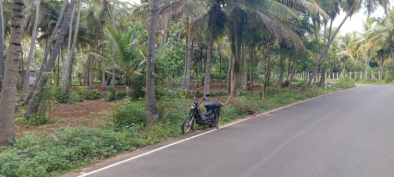 25 Cent Agricultural Land/Farm Land for Sale in Natham Road