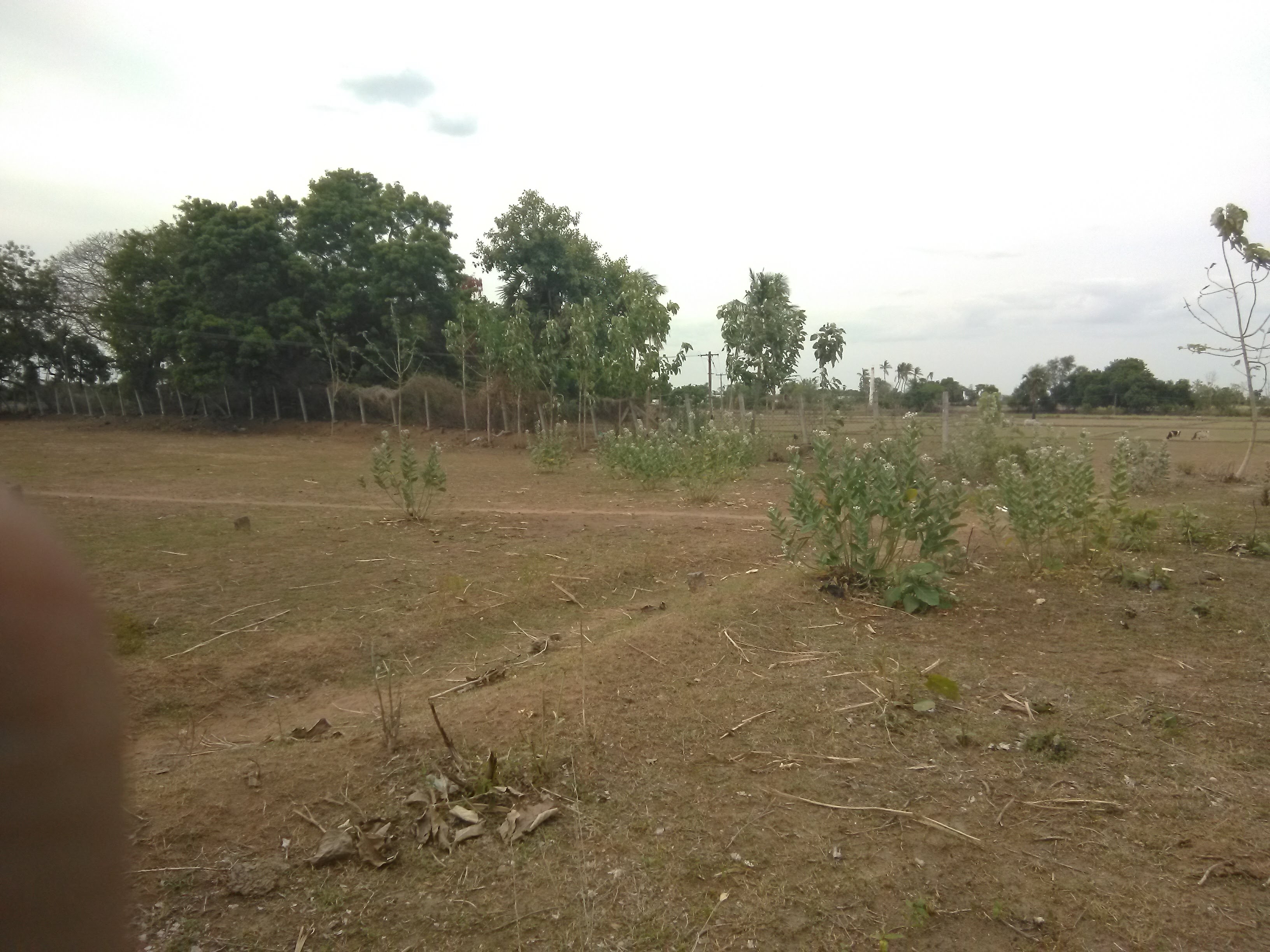 2510 sqft Plots & Land for Sale in Panamalai