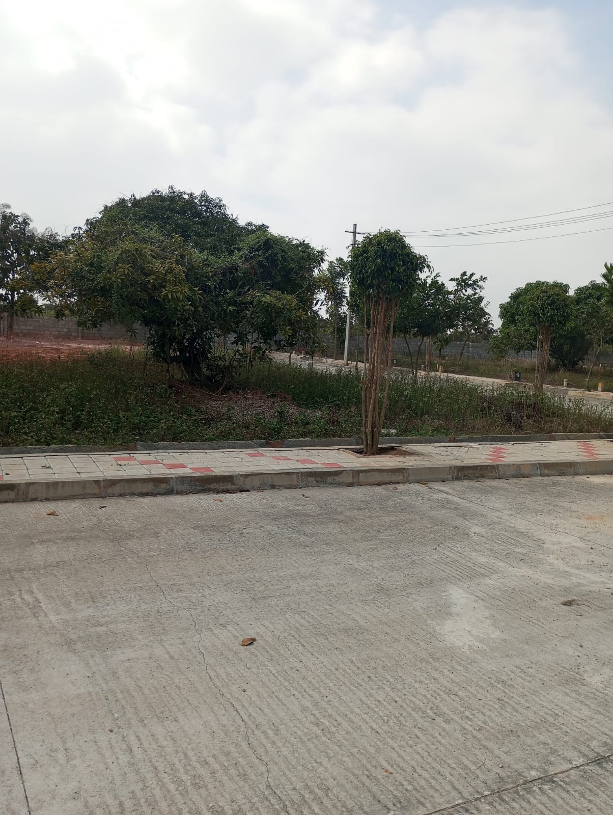 600 sqft Plots & Land for Sale in TC Palya