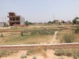 900 sqft Plots & Land for Sale in Sector 144