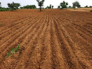 67 Acres Plots & Land for Sale in Kettimalanpudur