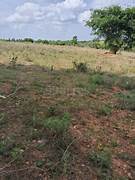 63 Acres Plots & Land for Sale in Sarjapur