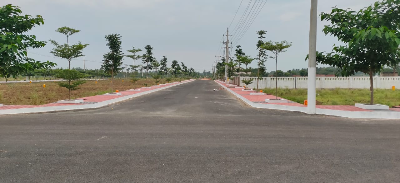 167 Sq Yards Plots & Land for Sale in Besant Road