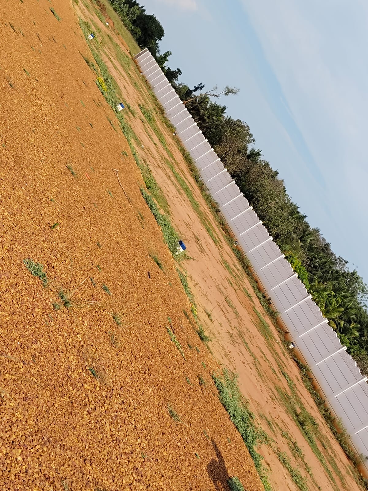 1350 sqft Plots & Land for Sale in Marungulam