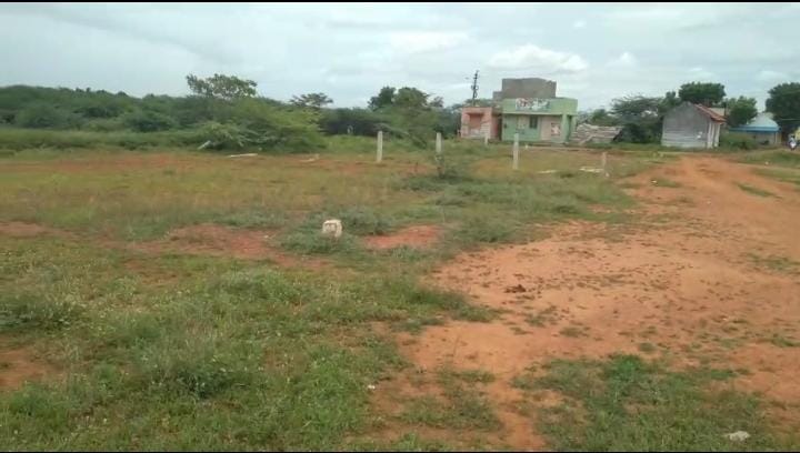 2613 sqft Plots & Land for Sale in Sakkimangalam