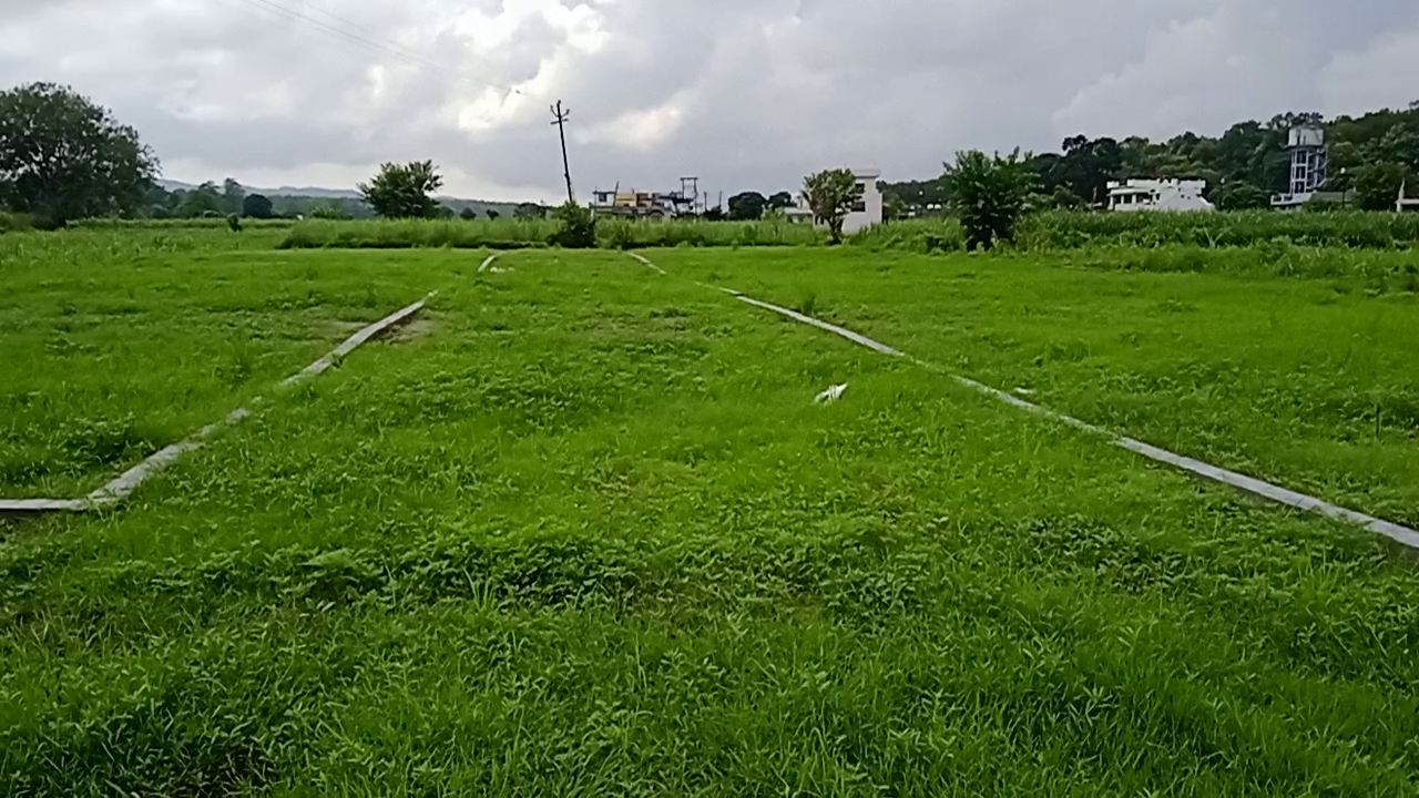12800 Sq Yards Plots & Land for Sale in Dodhli