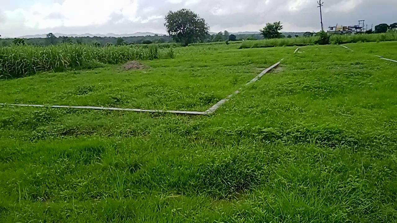 12800 Sq Yards Plots & Land for Sale in Dodhli
