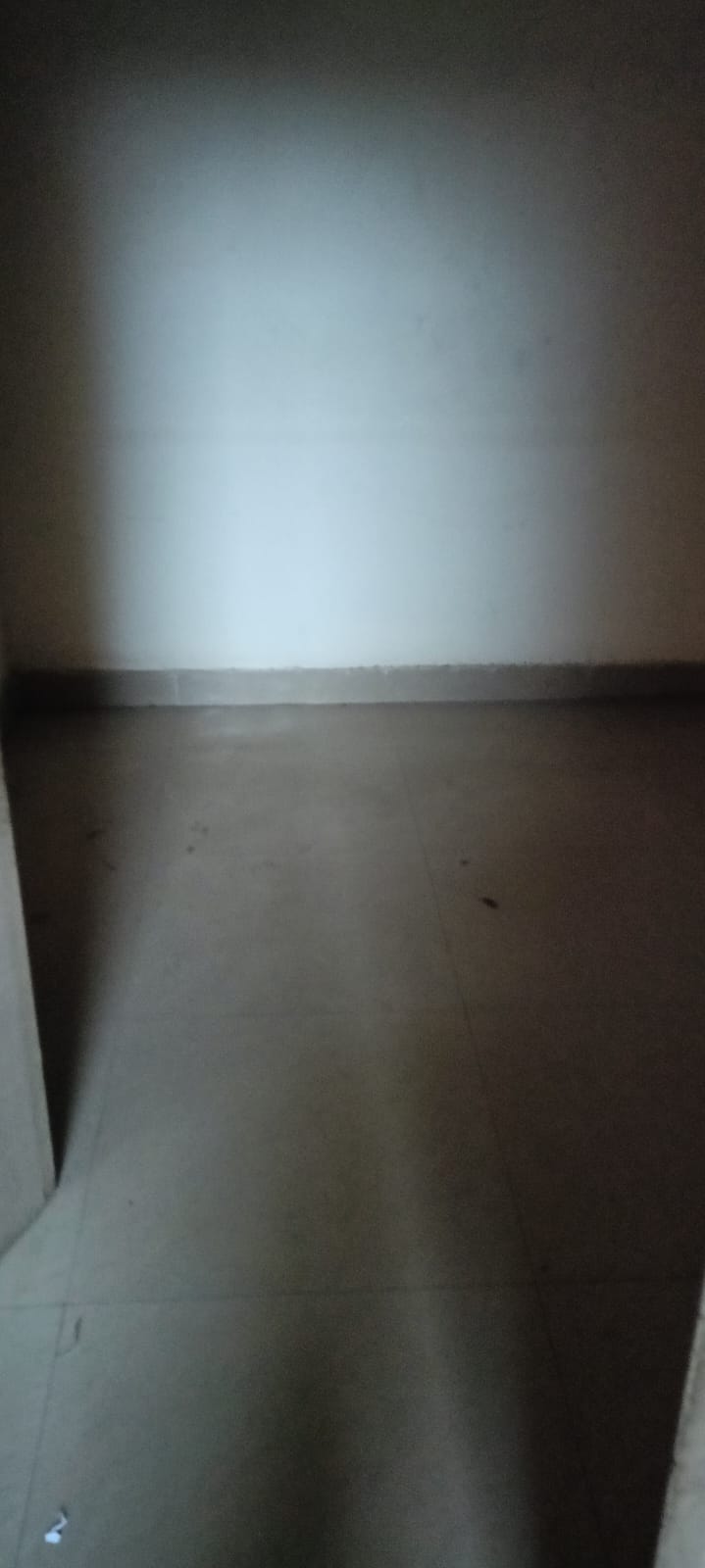 Flat for Sale in Panki