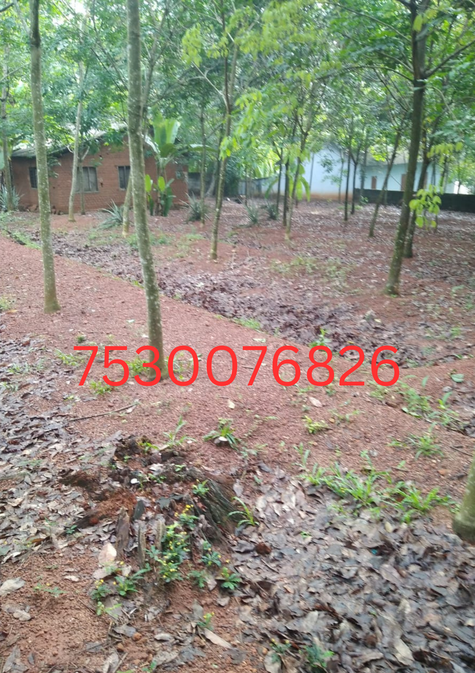 12424 sqft Plots & Land for Sale in Vilavancode Taluk