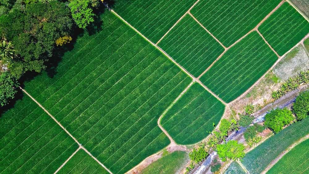 22222222222222222222222222222222222222222222222 Acres Agricultural Land/Farm Land for Sale in ECR