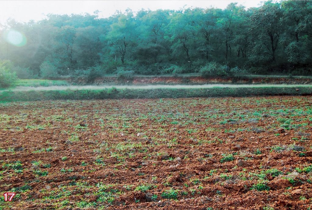 2 Acres Plots & Land for Sale in Yethapur