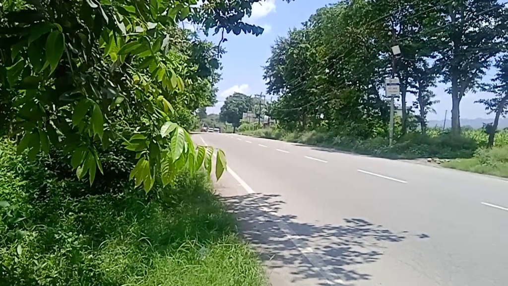 24199 Sq Yards Agricultural Land/Farm Land for Sale in Sahaspur