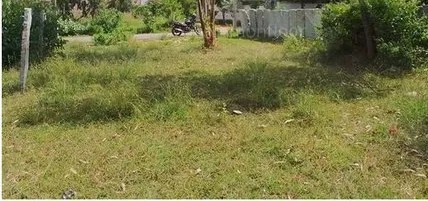 1850 Sq Meters Plots & Land for Sale in Vilankurichi