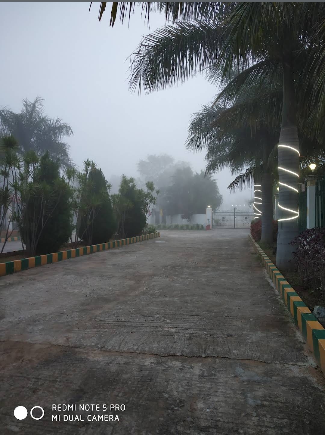 Flat for Sale in Dharampuri Road