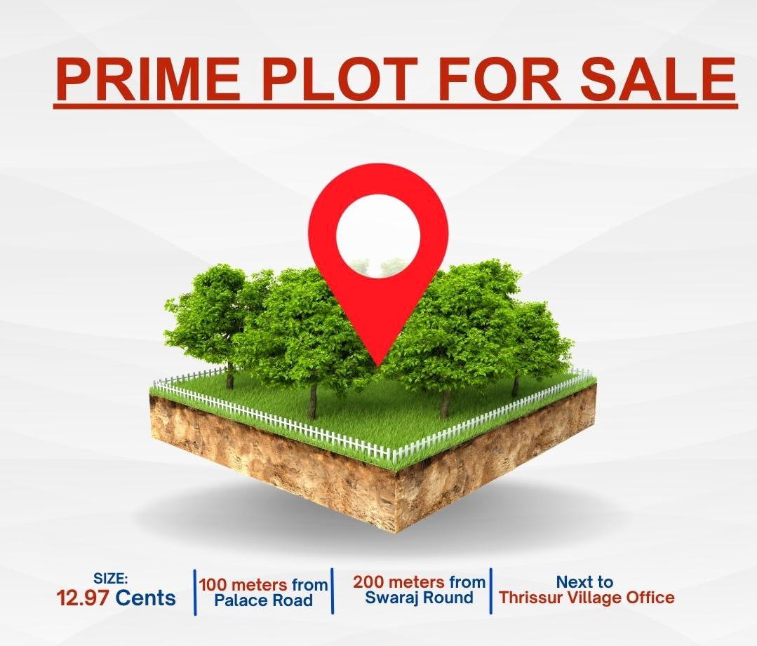 13 Cent Plots & Land for Sale in Pembra P.O.