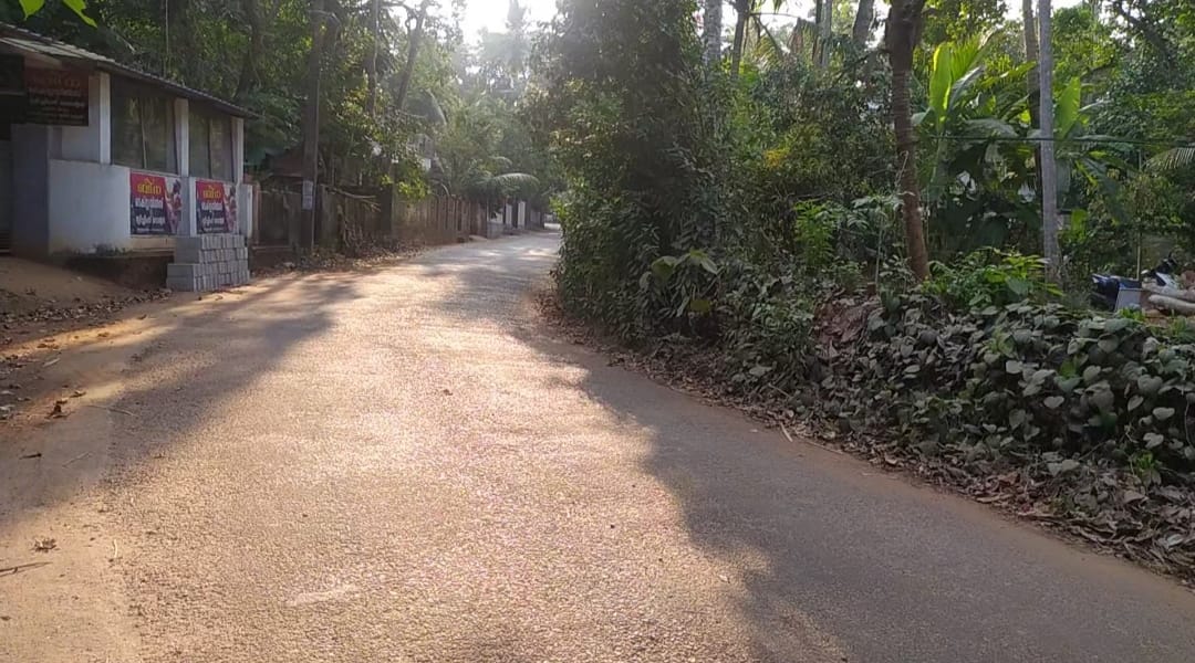 6985 sqft Plots & Land for Sale in Kanjiramkulam