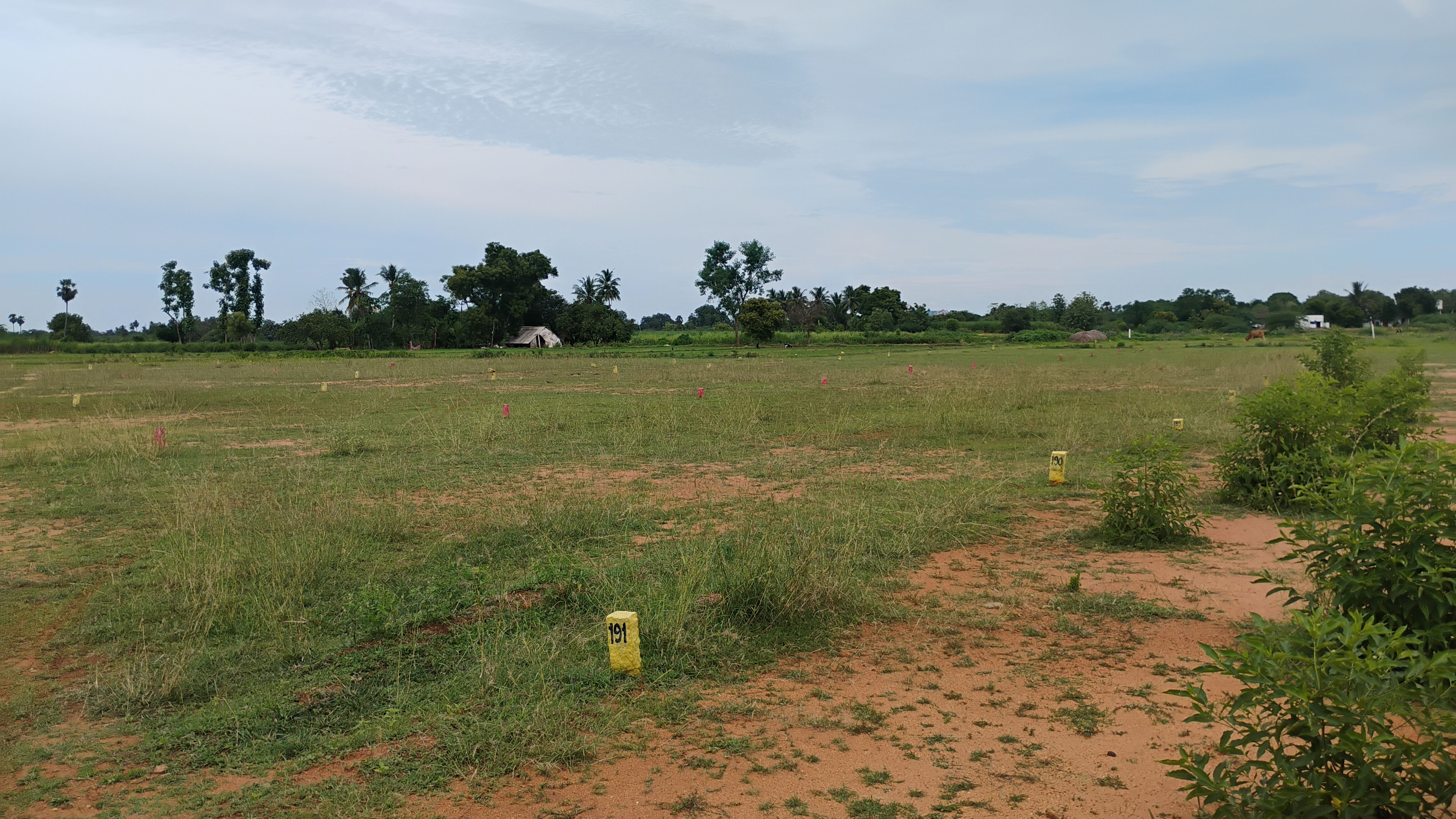 900 sqft Plots & Land for Sale in Karthikeyapuram
